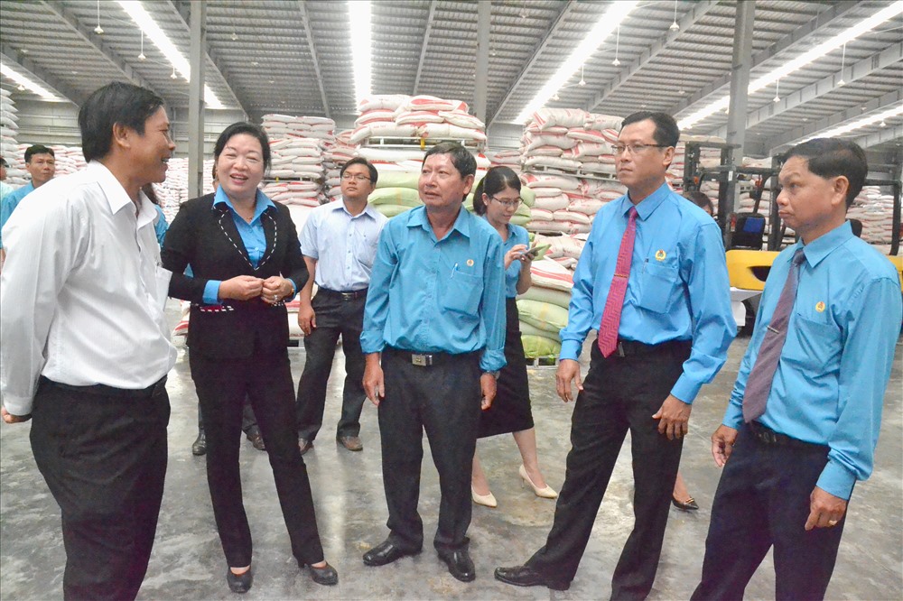 Đoàn cán bộ CĐ tham quan nhà máy. Ảnh: Tùng - Nhân.