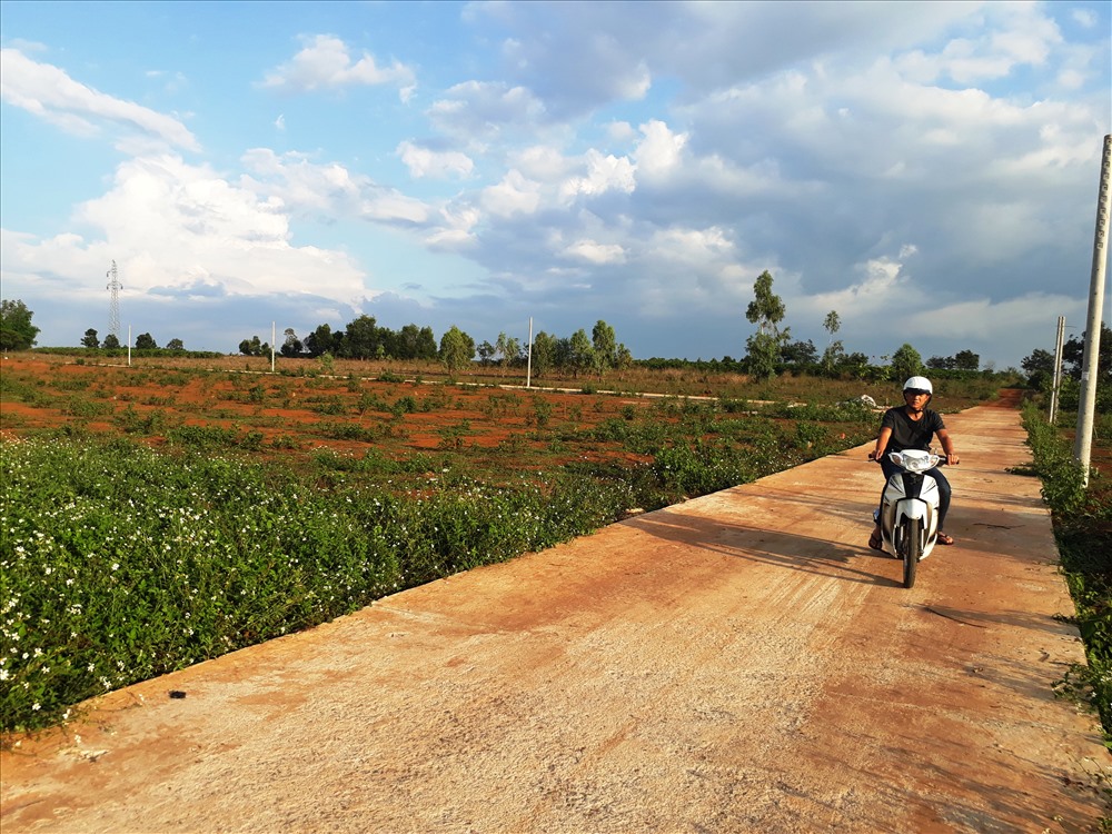 Đất dự trữ phát triển công nghiệp của Gia Lai bị phân lô, xẻ bán trái pháp. Ảnh Đình Văn