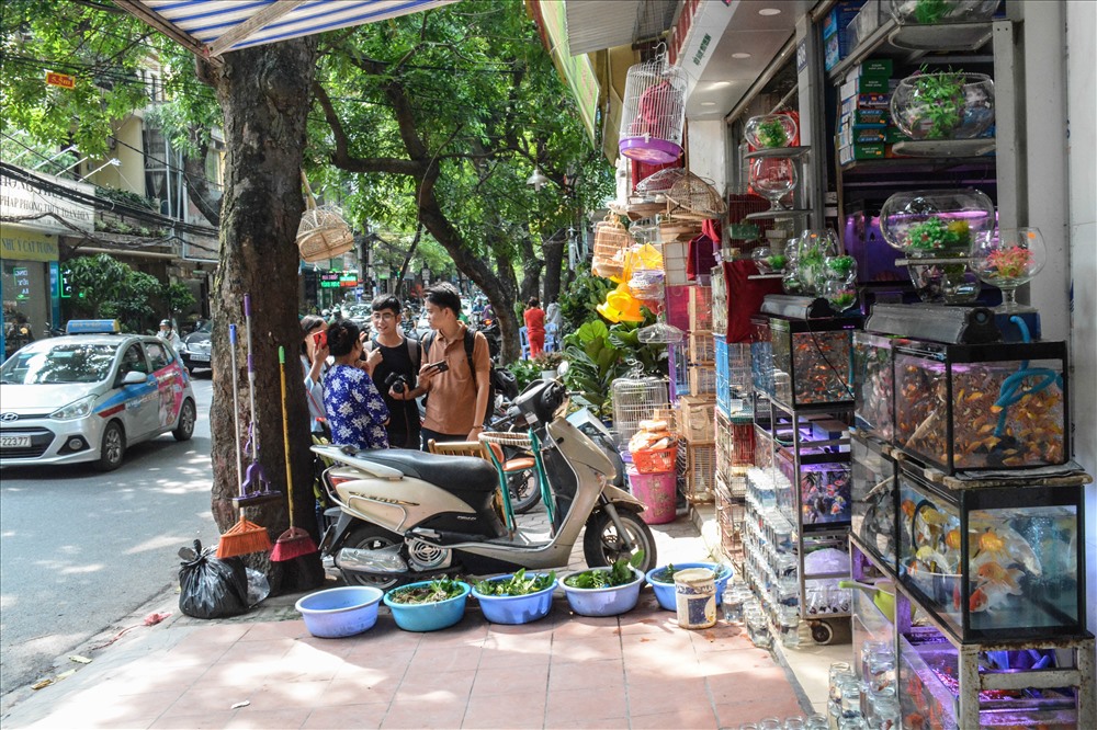Nhiều người lý giải, chim và bán chạy vì theo tín ngưỡng dân gian, rằm tháng 7 là ngày Xá tội vong nhân, cũng là lễ Vu lan báo hiếu cha mẹ. Vì thế, nhiều gia đình cũng sắm thêm các mâm cỗ cúng chúng sinh, phóng sinh chim, cá…