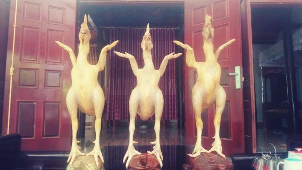 Với những ý tưởng sáng tạo của chủ nhân mà những con gà cúng được đua nhau tạo dáng trên mâm cỗ
