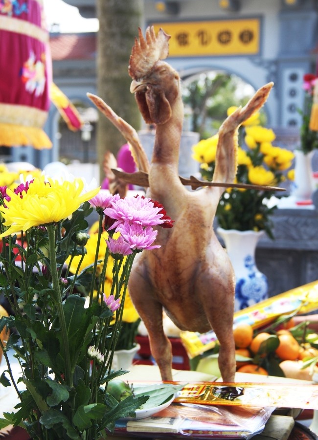 Từ gà...ngắm hoa