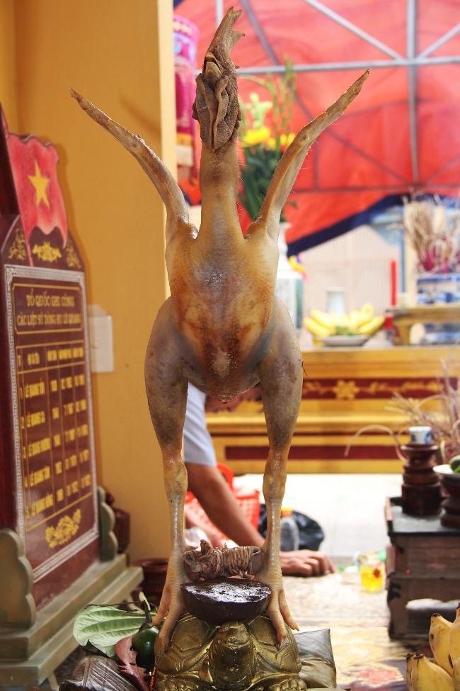 ...tung cánh