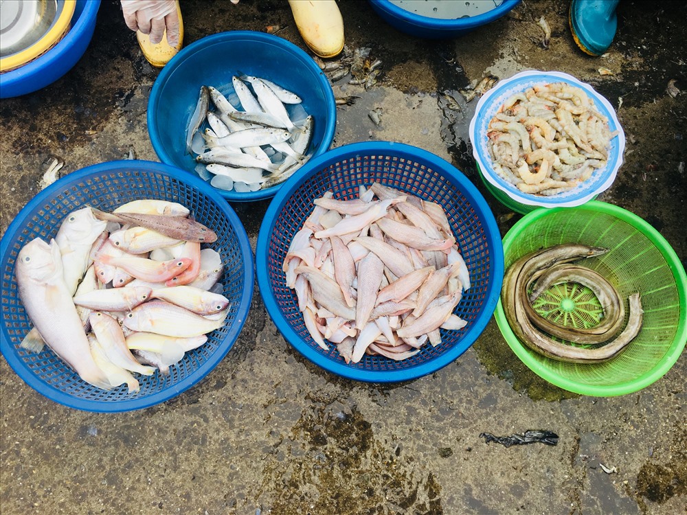 Cá mối khoảng 22.000 đồng/kg, cá duội 37.000 đồng/kg, cá thu 130.000 đồng/kg, thấp hơn bình quân ở các chợ khác từ 20-30%. (Ảnh: Phạm Tâm)