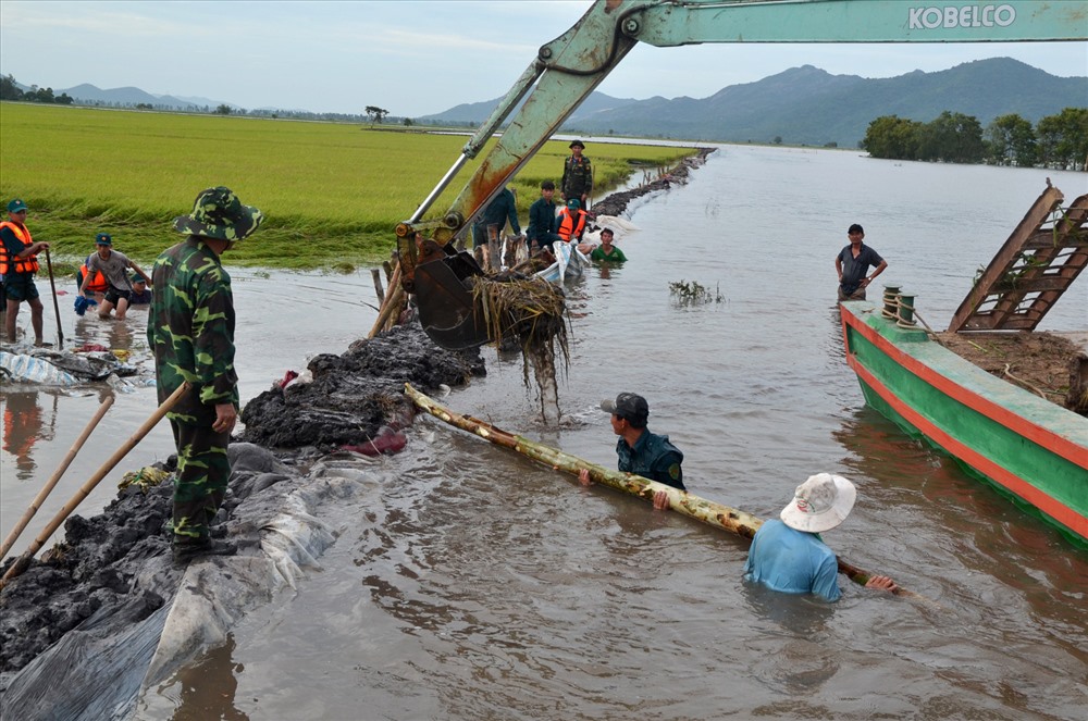Bên cạnh sức người, còn có sự hỗ trợ của cơ giới.
