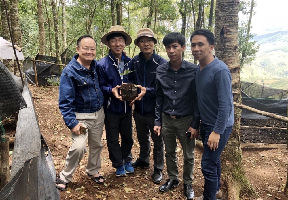 Từ trái qua phải: GS.TS Nguyễn Minh Đức; GS.TS. Yang Tae – Jin; GS.TS. Park Jeong Hill; chuyên gia Vũ Duy Dũng và TS. Nguyễn Văn Bình trong chuyến đi khảo sát thực địa về sâm vào ngày 3/8/2018 tại tỉnh Kon tum – Quảng Ngãi.