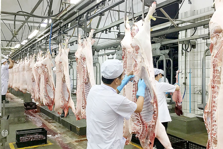 Theo các chuyên gia chăn nuôi, nguồn cung thịt lợn trong nước không thiếu.