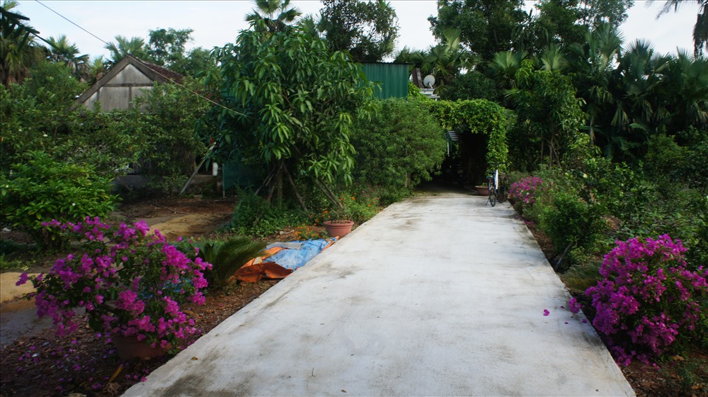 Ngôi nhà và vườn cây nhiều hoa trái được cụ Đang và người con trai chăm sóc hàng ngày