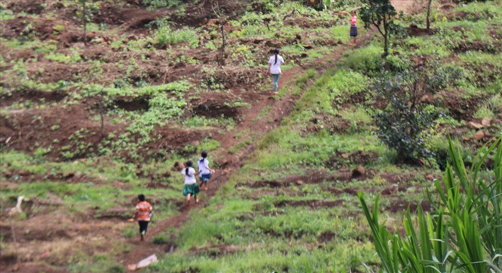 Nhấn vào ảnh để phóng to