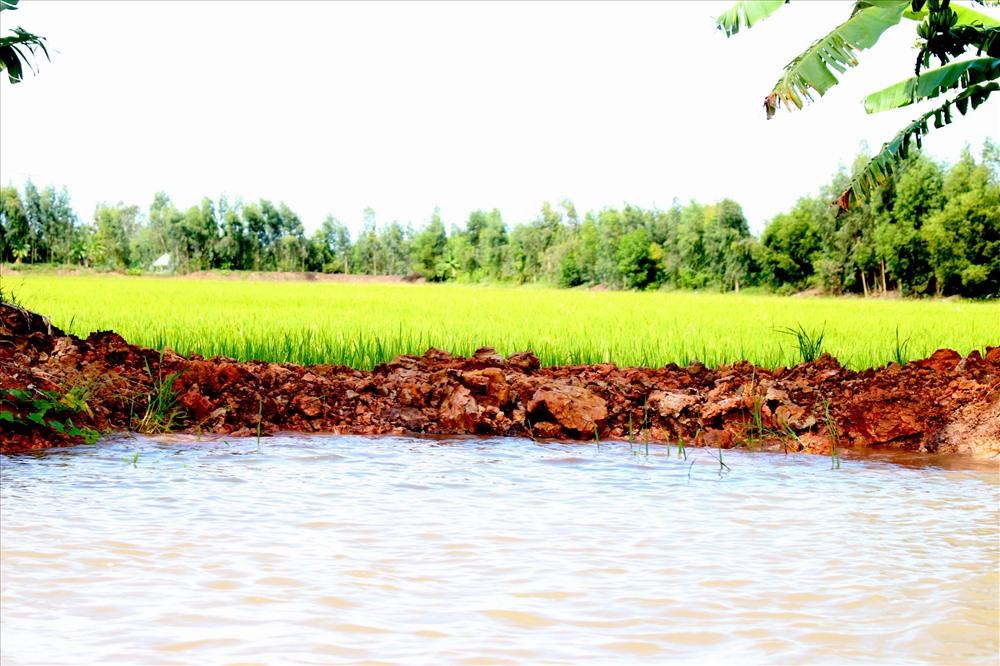 Do nước ngập sâu, khó tìm nguyên vật liệu nên việc hộ đê tại nhiều nơi rất đơn sơ. Ảnh: Lục Tùng