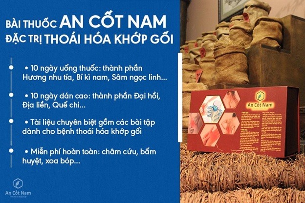 Chữa thoái hóa khớp gối dứt điểm nhờ bài thuốc An Cốt Nam