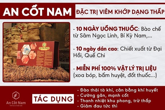Cách trị viêm khớp dạng thấp dứt điểm nhờ bài thuốc An Cốt Nam