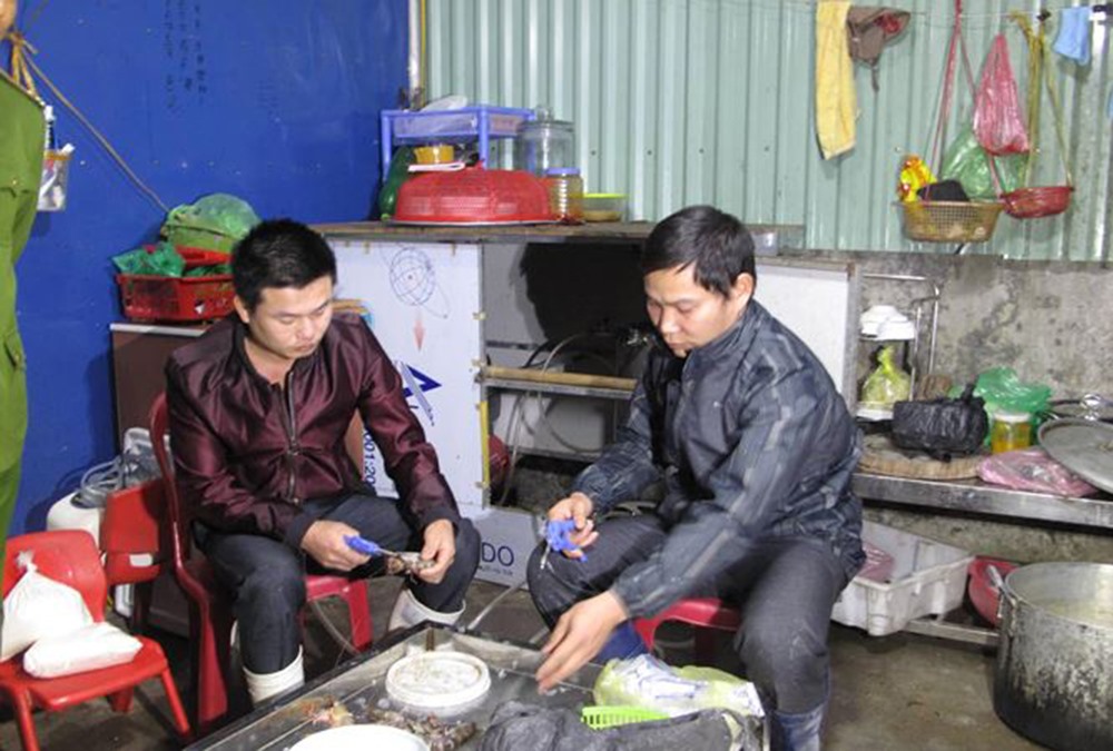 2 đối tượng đang tiêm tạp chất vào tôm chết bị bắt quả tang.