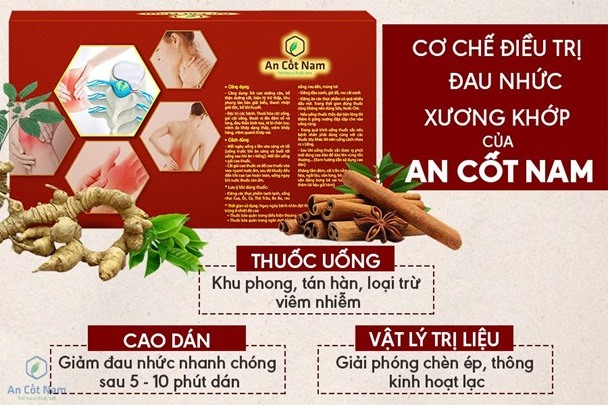Chữa đau nhức xương khớp toàn thân dứt điểm nhờ An Cốt Nam