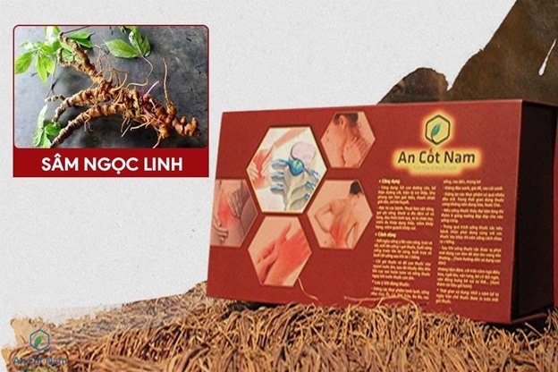 An Cốt Nam - Bài thuốc tiên phong dứt điểm bệnh thoát vị đĩa đệm cổ cho hàng ngàn bệnh nhân