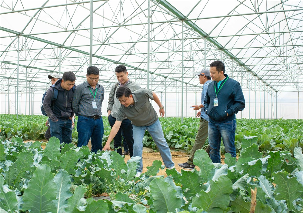 Các hộ nông dân tham quan và học tập tại nông trường VinEco.