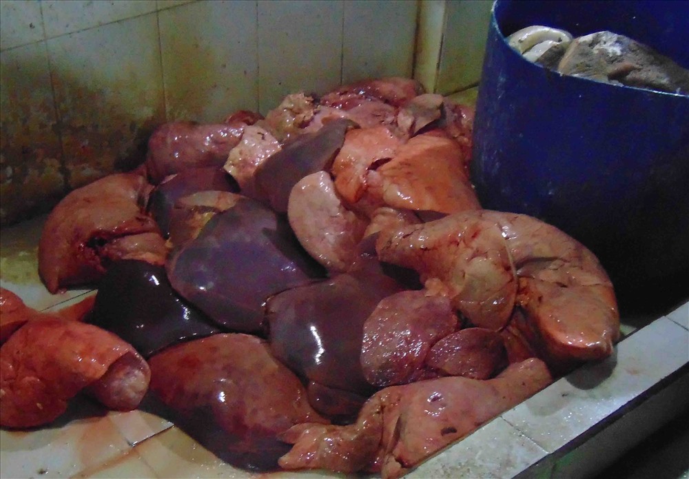 Phổi, gan bò để long lóc trên dụng cụ bẩn