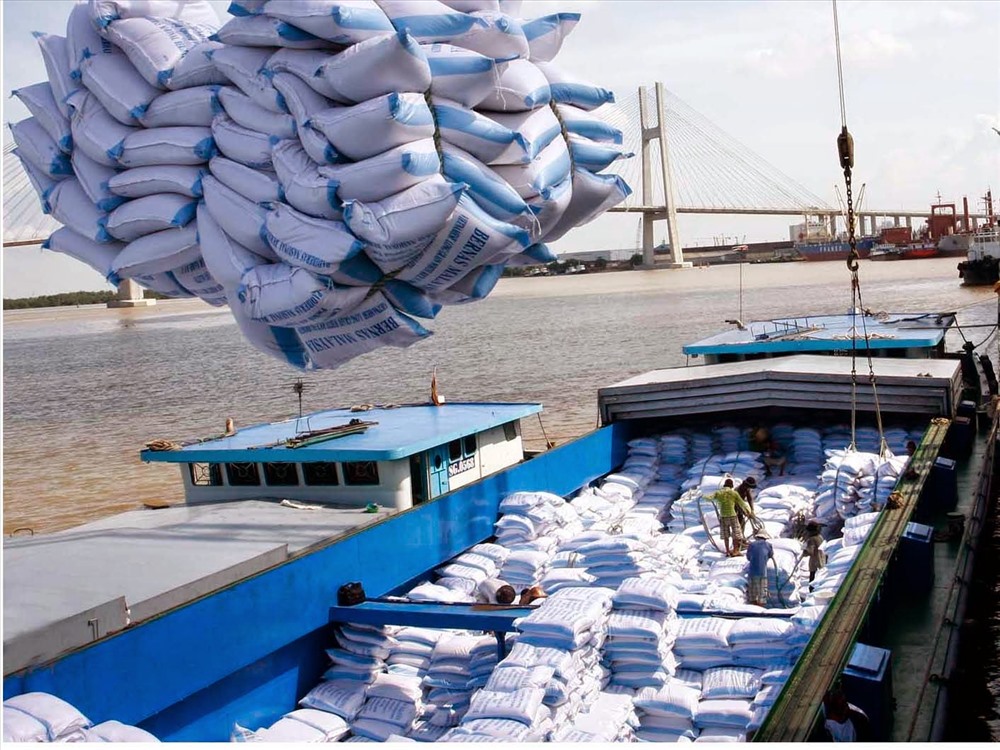 Xuất khẩu gạo đóng góp giá trị kim ngạch lớn cho ngành nông nghiệp. Ảnh: PV