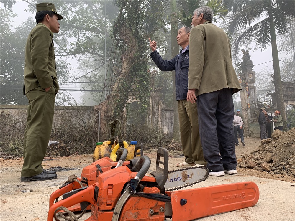 Cưa máy và các dụng cụ chặt cây được chuẩn bị từ sáng sớm.