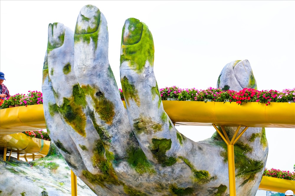 Hội hoa Xuân Kỷ Hợi 2019 ở Đà Nẵng sẽ được khai mạc vào ngày 28 tháng Chạp.