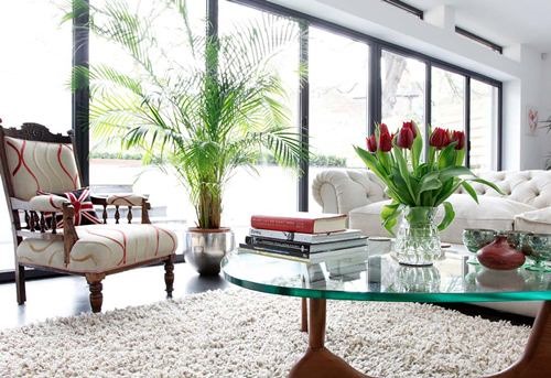 Cũng theo chuyên gia phong thủy Nguyễn Song Hà , người chơi cây cảnh nên đặt cây ở cửa sổ hướng ra phía đông để cây hứng nắng sáng, tốt cho sự phát triển của cây.