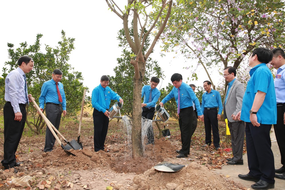 Chủ tịch Tổng LĐLĐVN Bùi Văn Cường và đoàn công tác tưới nước cho cây mới trồng trong khuôn viên Cty CP In Công đoàn.