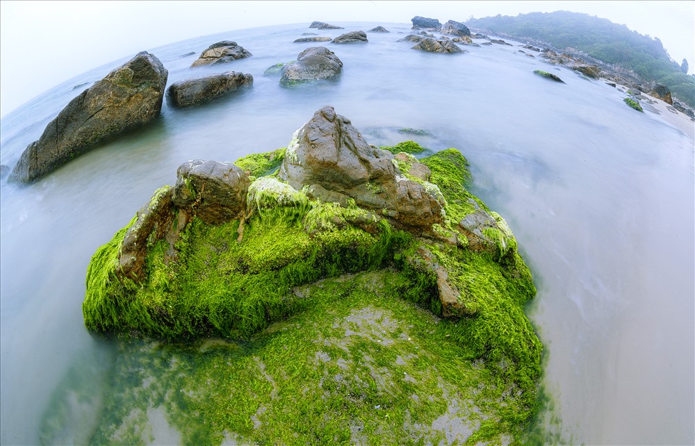 Tiết trời nắng ấm, rêu xanh bắt đầu mọc trên các tảng đá, giữa làn nước biển trong veo.