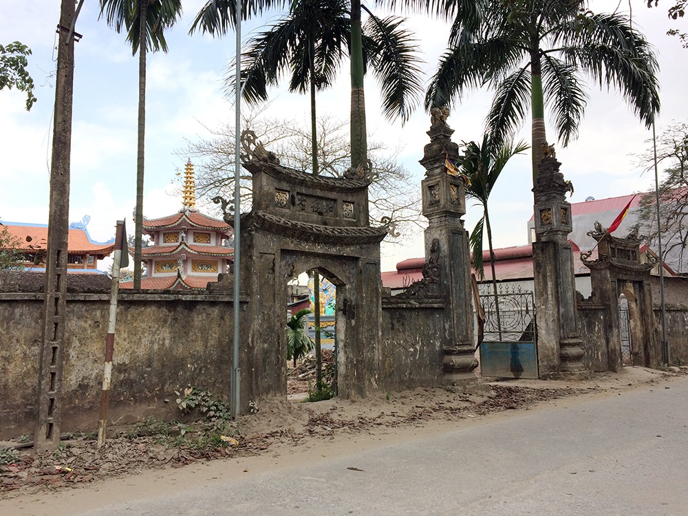 Theo một cao niên trong làng, kể từ cái ngày tiếng cây sưa trăm tỷ của làng vang khắp đó đây, ngôi chùa nhỏ liên tục bị các đối tượng trộm cắp, kẻ gian nhòm ngó. Có một hôm, lợi dụng đêm tối, trời mưa bão, kẻ gian đã phá cổng chùa vào chặt trộm một nhánh sưa mang đi bán. Từ đó, cây sưa lâu đời được dân làng “mặc áo giáp sắt” chống trộm và cắt cử nhau canh giữ cẩn thận cả ngày lẫn đêm.