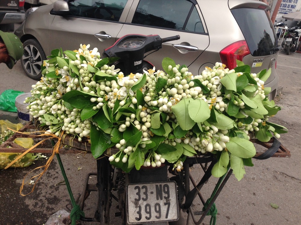 Mỗi ngày, người bán có thể bán được từ 7-10kg hoa.