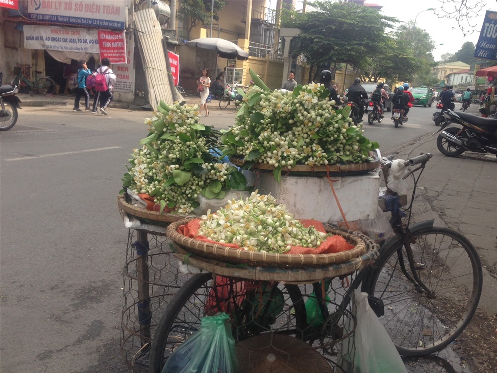 Mỗi ngày, người bán có thể bán được từ 7-10kg hoa.