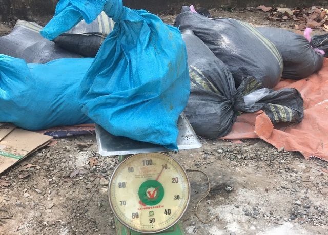 Gần 500 kg thịt thối bị phát hiện vận chuyển trái phép. Ảnh: A.D