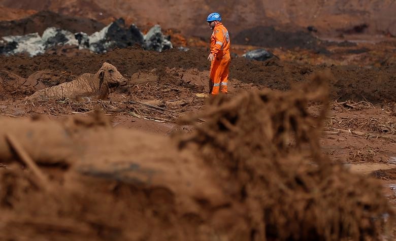 Ảnh: Reuters.