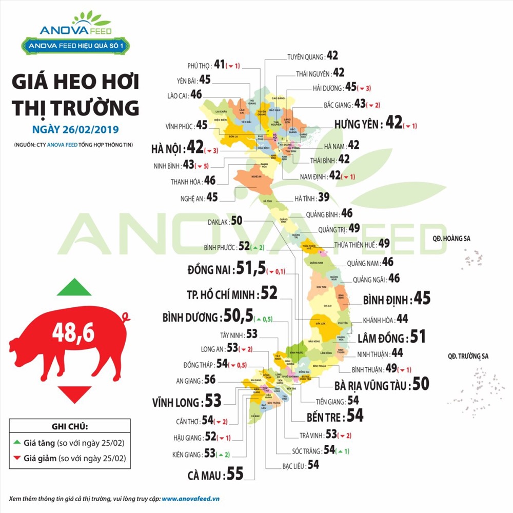 Giá lợn hơi cập nhật ngày 26.2.