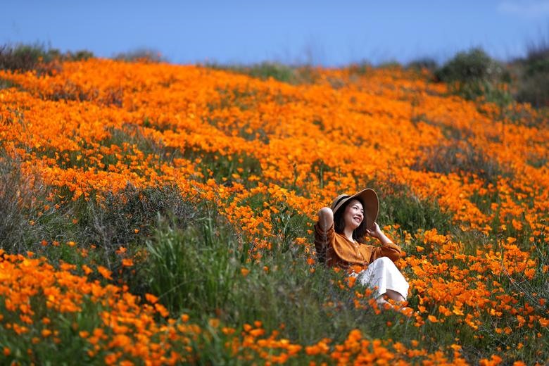 Ảnh: Reuters.