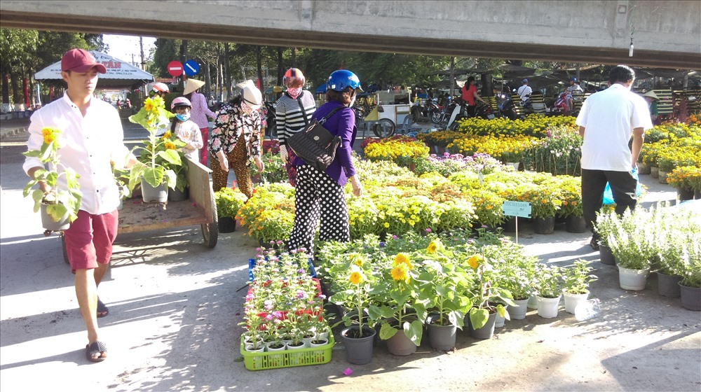 Thị trường hoa tết năm nay khá phong phú, có nhiều mức giá khác nhau để người dân lựa chọn. Ảnh: H.T