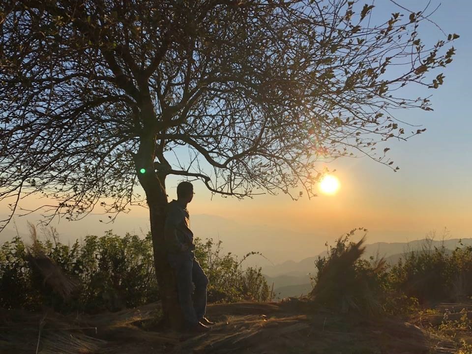 Cây táo mèo Tà Xùa (Sơn La). Ảnh LeTruong.