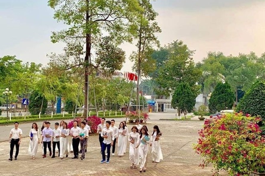 Sinh viên Trường ĐH Lâm nghiệp.