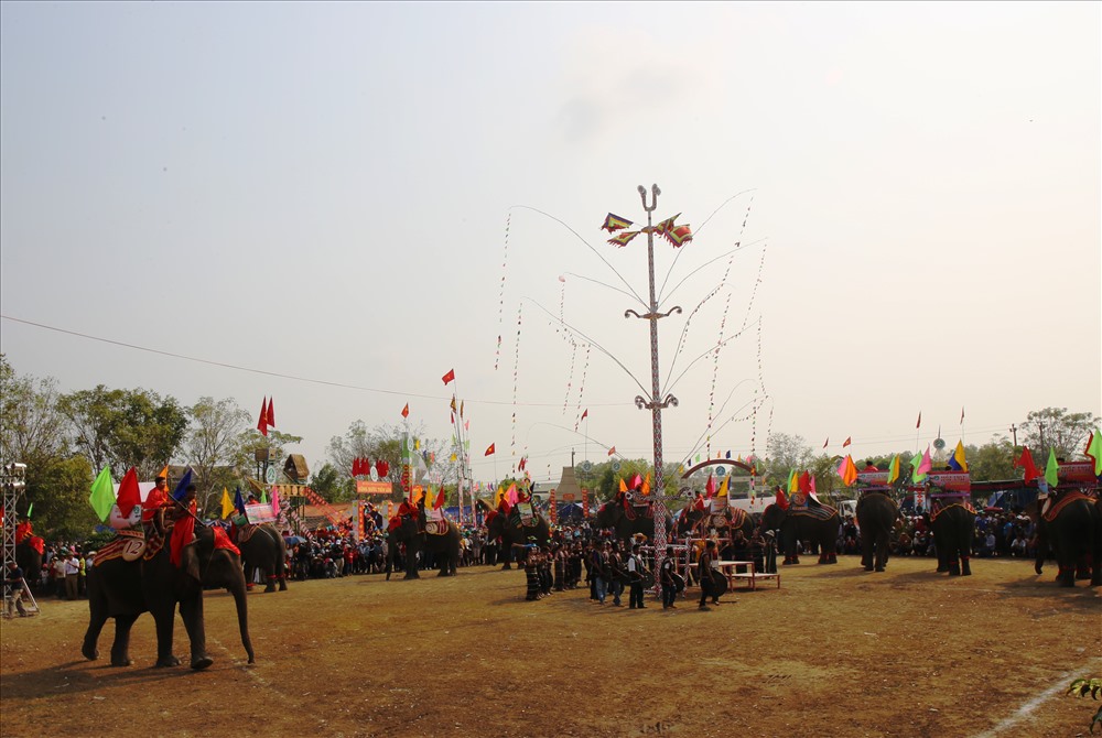 Năm nay, có 16 chú voi trên địa bàn tỉnh Đắk Lắk về tham dự cuộc thi đua voi. Trước khi bắt đầu, các chú voi lần lượt diễu hành chào du khách.