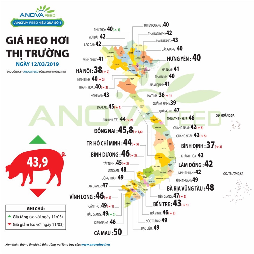 Giá lợn hơi ngày 13.2.2019 đã giảm khoảng 5.000đ/kg so với đầu tuần trước. Nguồn: Anova Feed