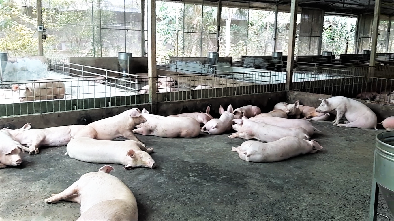 Việc người dân chủ động phòng dịch từ xa là hết sức cần thiết. Ảnh: Bảo Trung