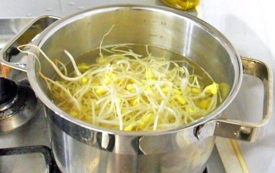 Giá đỗ luộc chữa ho mọc tóc.