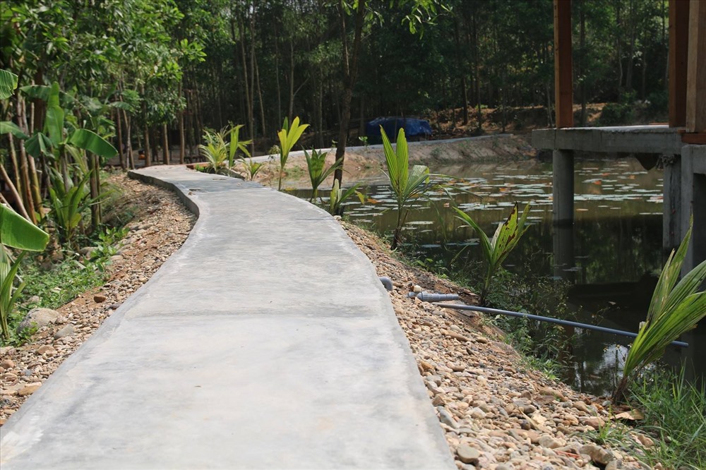 Một con đường bê tông kiên cố trong khu nghỉ dưỡng chui giữa rừng phòng hộ. Ảnh: Đ.V