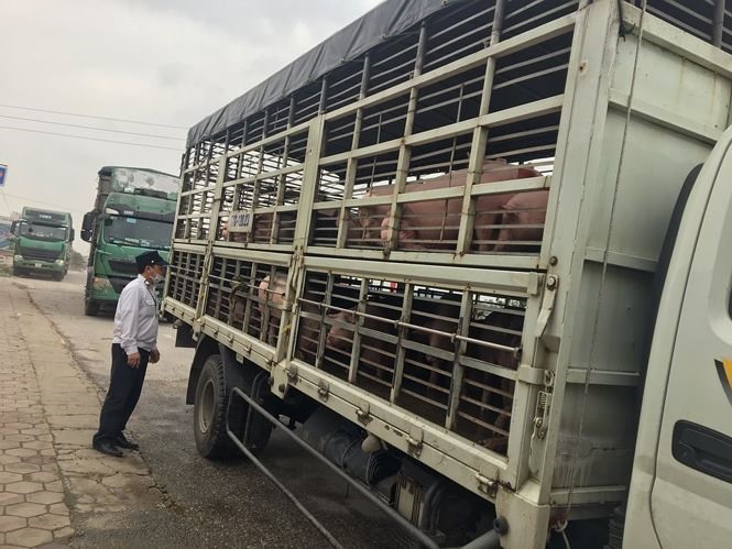 Công tác kiểm soát đang được tăng cường