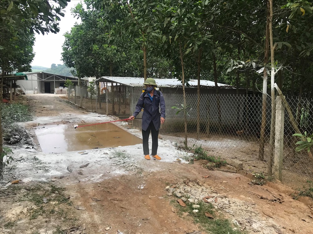 Người dân các địa phương tiến hành phun hóa chất và rắc vôi bột tiêu độc khử trùng quanh khu vực chăn nuôi