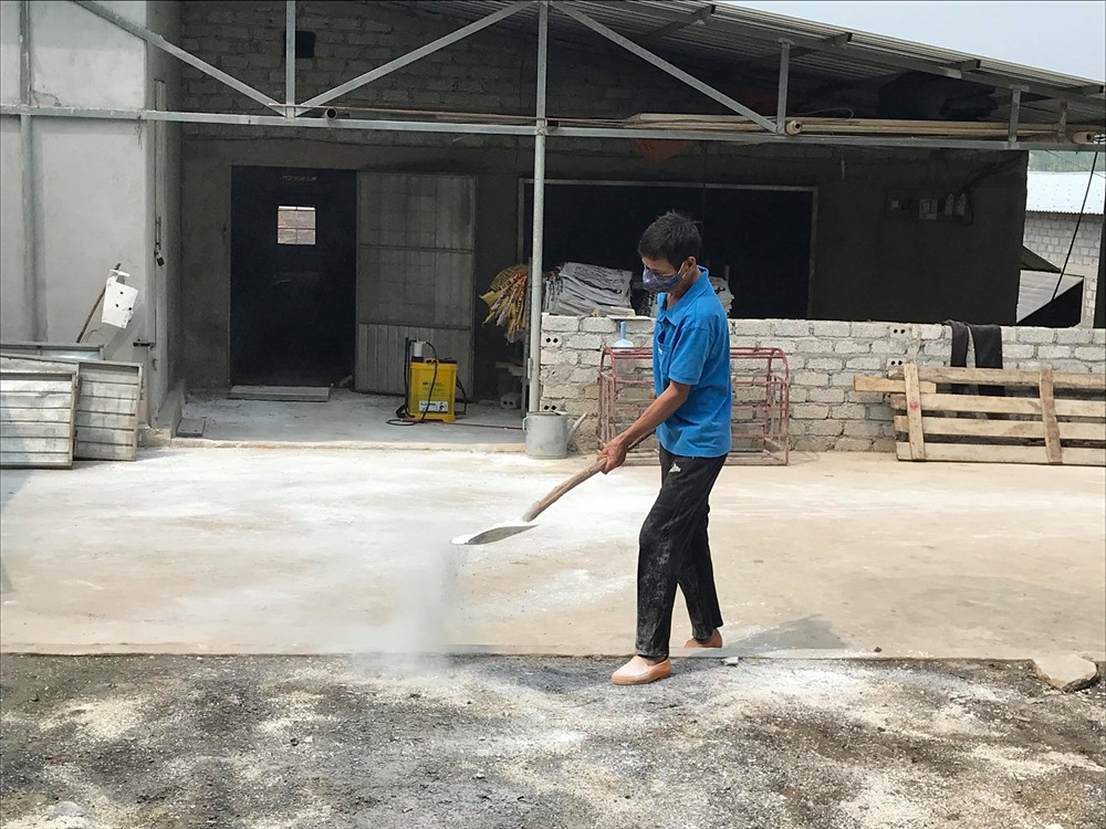Người dân các địa phương tiến hành phun hóa chất và rắc vôi bột tiêu độc khử trùng quanh khu vực chăn nuôi