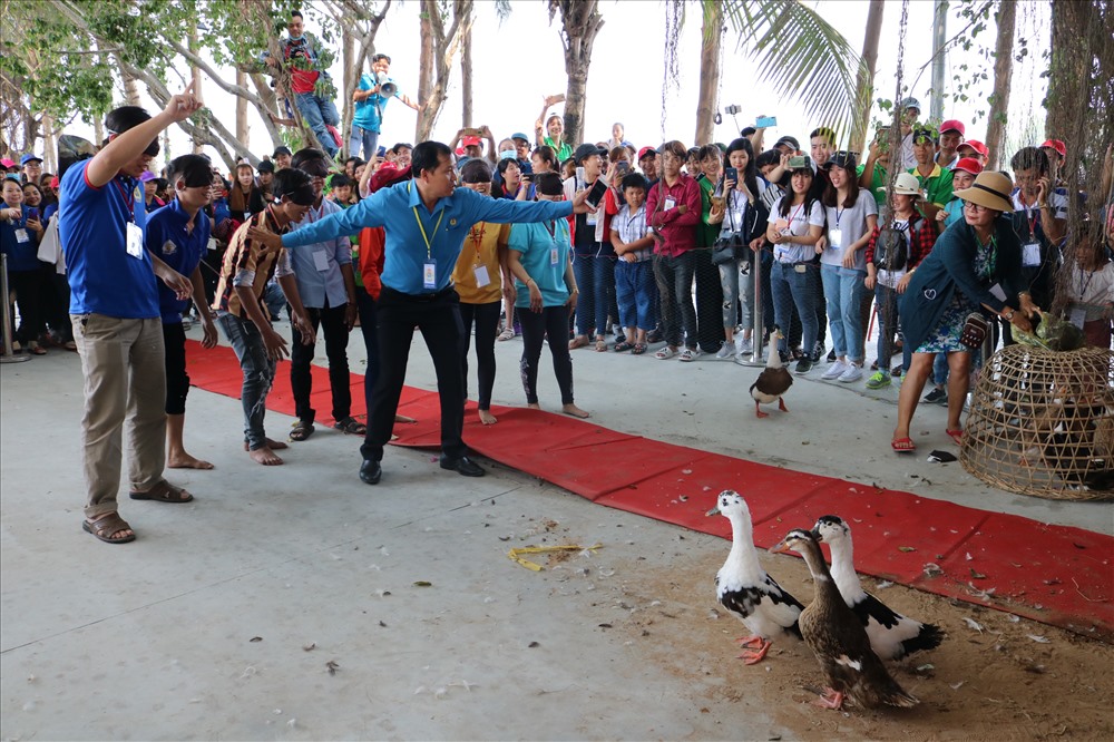 Thi bắt vịt.
