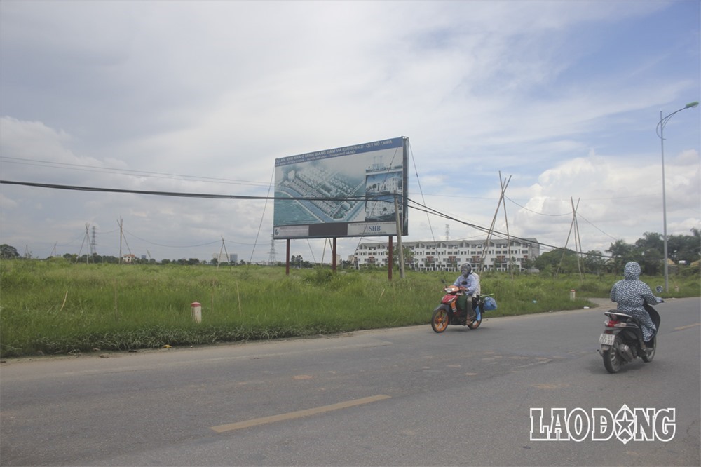 Những dự án bỏ hoang, um tùm cỏ mọc kéo dài hơn 10 năm. Ảnh Trần Vương