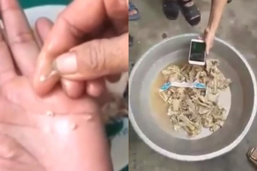Hình ảnh thực phẩm tại Trường Mầm non Thanh Khương mà phụ huynh cho rằng không đảm bảo vệ sinh.