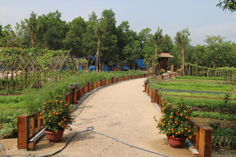 Một góc của khu nghỉ dưỡng “chui” trong rừng phòng hộ.