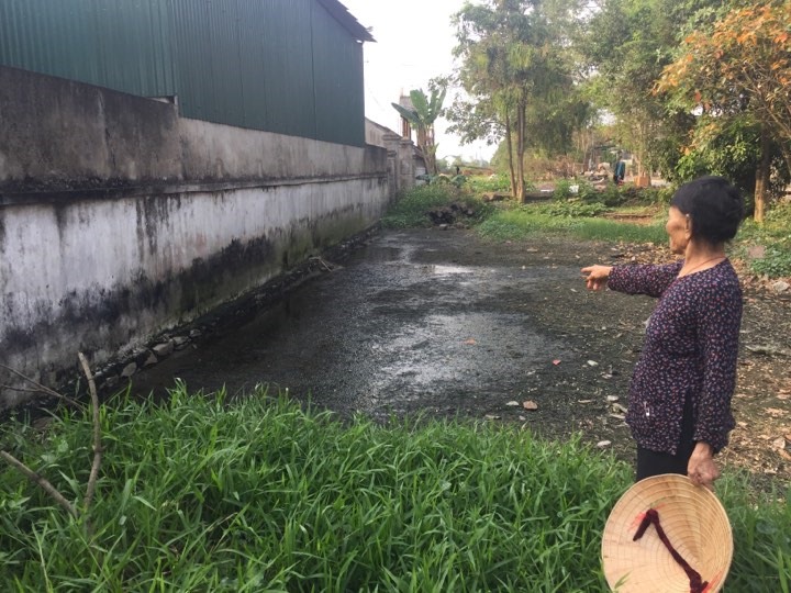 Những bải đất trống ứ đọng nhiều chất thải bẩn của lò mổ gây mùi hôi thối nồng nặc. Ảnh: Viễn Chinh.