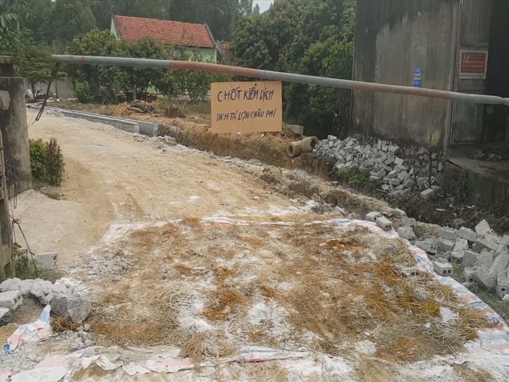 Nhiều chốt kiểm dịch được thành lập tại các địa phương